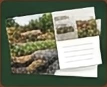 Curated Postcard Designs